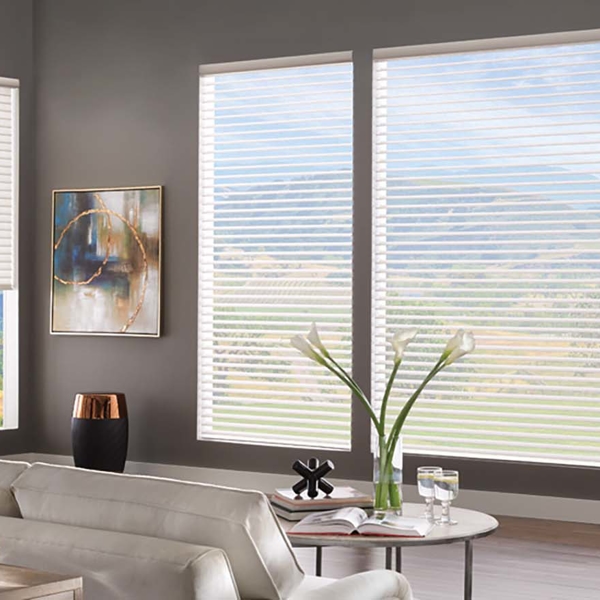 Shades | Bumble Bee Blinds