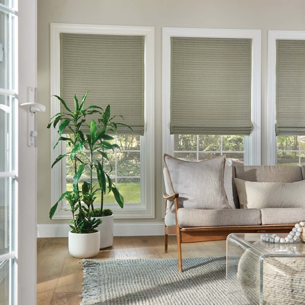 Shades | Bumble Bee Blinds