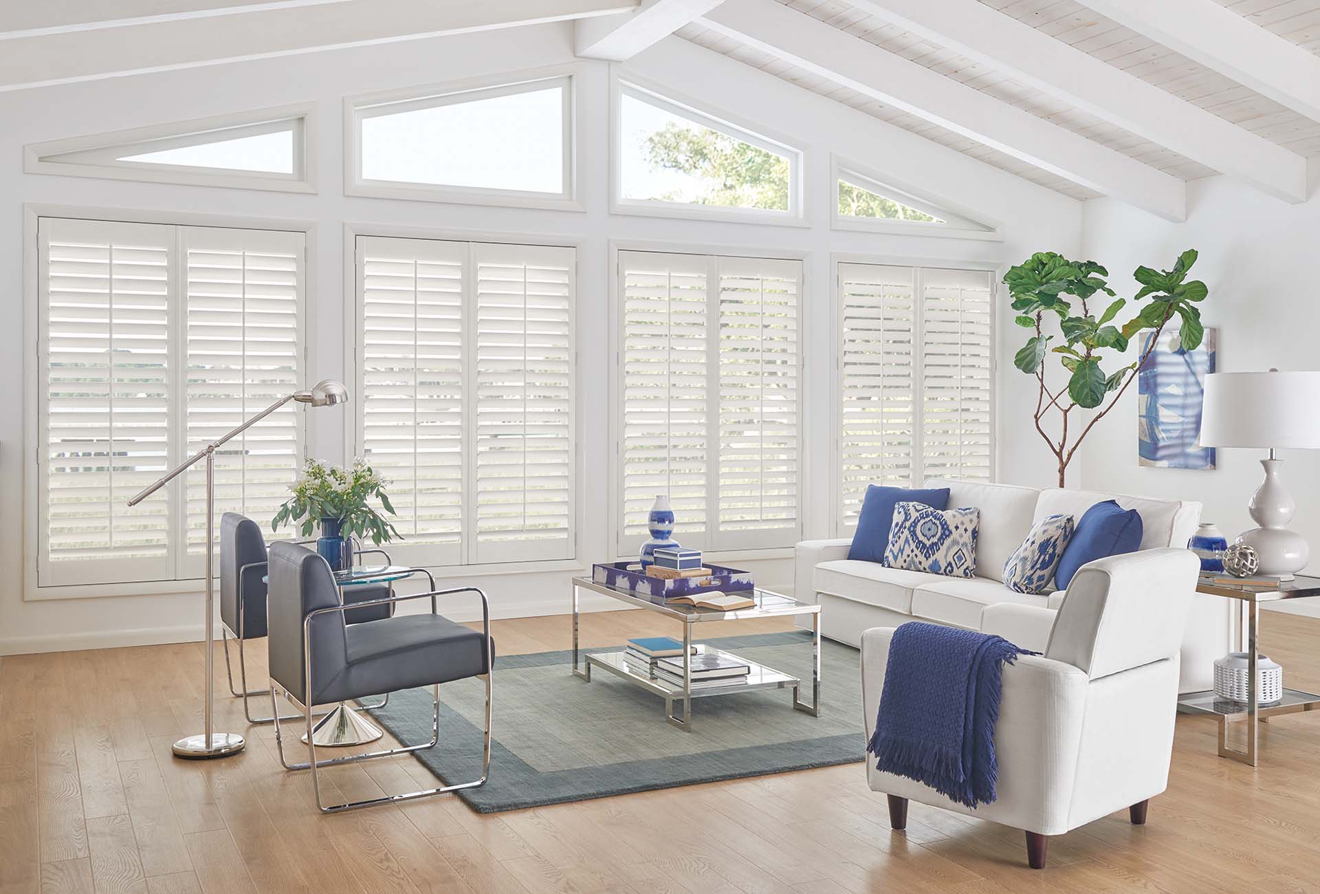 Shutters | Bumble Bee Blinds