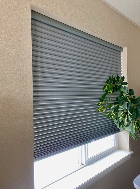 denver blinds